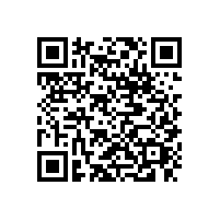東莞貨運(yùn)公司|貨運(yùn)公司價(jià)格戰(zhàn)，不如提高服務(wù)質(zhì)量