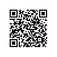 東莞貨運公司|鷹航貨運公司經營范圍