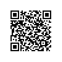 東莞貨運公司|鷹航物流講求效率