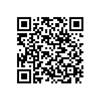 東莞貨運公司|鷹航我們正在努力
