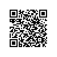 東莞貨運公司|鷹航致力打造貨運品牌