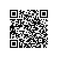 東莞貨運(yùn)公司|鷹航準(zhǔn)時快捷