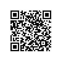 東莞沙田到湛江徐聞物流公司電話13922514227