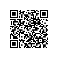東莞望牛墩到福建泉州物流公司望牛墩貨運(yùn)