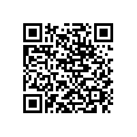 東莞望牛墩到湛江貨運(yùn)公司電話13922514227