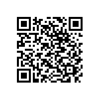 東莞長安到湖南長沙物流公司鷹航13922514227