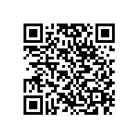 東莞至湛江貨運專線一站式直達送輸13790665977