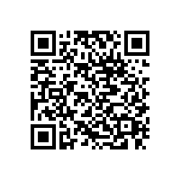 東莞至湛江物流專線東城物流公司13790665977