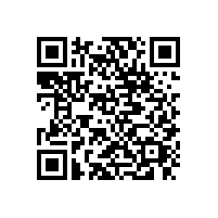 東莞至湛江直達(dá)專線鷹航東莞物流公司13790665977