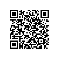 東莞到湛江物流專線沙田物流公司13790665977
