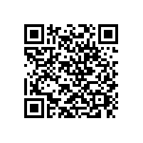 湛江專線物流鷹航虎門物流公司13790665977