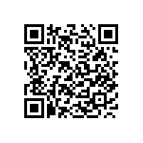 山東銀箭鋁銀漿仿電鍍系列鋁銀漿你了解多少?