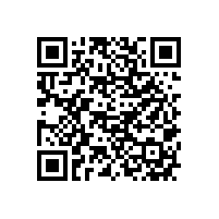 韋柏紗窗關(guān)于國內(nèi)外紗窗技術(shù)未來發(fā)展趨勢分析報告