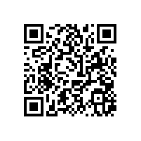 宣橋農(nóng)村自建別墅大門(mén)安裝韋柏Aplus款巢紗門(mén)