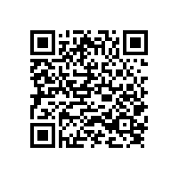 寶雞市陳倉(cāng)區(qū)文化體育設(shè)施及集中辦公安置工程室外景觀招標(biāo)公告（陜西）