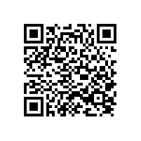 惠州市代建項目管理局惠州市隆生大橋東棚戶區(qū)改造安置房智能化系統(tǒng)項目采購成交公告（惠州）