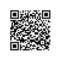 丹鳳縣縣域工業(yè)集中區(qū)中小企業(yè)孵化園2#、3#廠房電梯項(xiàng)目招標(biāo)公告(陜西)