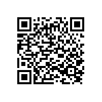 固始縣電子商務(wù)工作領(lǐng)導(dǎo)小組辦公室固始縣農(nóng)村電子商務(wù)物流配送體系建設(shè)及運(yùn)行服務(wù)項(xiàng)目招標(biāo)公告（河南）