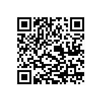 關(guān)于推進(jìn)我省建筑企業(yè)“走出去”的意見