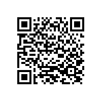 江西省瑞金市城市建設(shè)綜合執(zhí)法大隊(duì)勞務(wù)派遣采購(gòu)項(xiàng)目電子化公開招標(biāo)的中標(biāo)結(jié)果公告（江西）