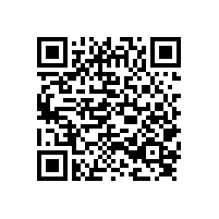 陜建發(fā)：關(guān)于對全省工程監(jiān)理、造價咨詢和招標代理企業(yè)執(zhí)業(yè)行為專項檢查情況的通報