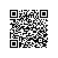 陜西省財(cái)政廳關(guān)于進(jìn)一步規(guī)范政府采購(gòu)活動(dòng)的通知