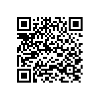 陜西省住建廳和發(fā)改委：關(guān)于印發(fā)《陜西省嚴(yán)厲打擊圍標(biāo)串標(biāo)搞利益輸送行為加強工程建設(shè)安全管理行動計劃》的通知