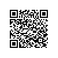 招標(biāo)代理機(jī)構(gòu)：招標(biāo)中不合理現(xiàn)象的經(jīng)濟(jì)學(xué)成因（二）