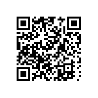生物質(zhì)燃料轉(zhuǎn)化利用技術(shù)的現(xiàn)狀、發(fā)展與鍋爐行業(yè)的選擇（三）