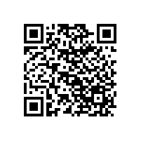 生物質(zhì)燃燒器 生產(chǎn)廠家 今日發(fā)貨現(xiàn)場