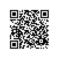 湖北省財(cái)政廳：關(guān)于印發(fā)湖北省政府集中采購(gòu)目錄及標(biāo)準(zhǔn)（2025年版）的通知