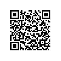 海外項(xiàng)目業(yè)績領(lǐng)先！紅獅集團(tuán)上榜民營跨國公司“領(lǐng)航企業(yè)”名單