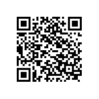 YFB2、YE4系列電機(jī)通過省級新產(chǎn)品鑒定