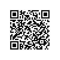 雙質體振動給料機槽體粘料，這四個問題一定要避免！