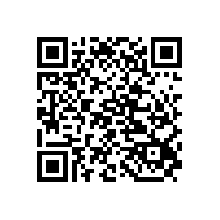 城市黑臭水体治理