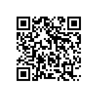 含硫化物废水对沉水风机电机绝缘性能有何影响