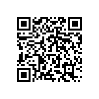 龙铁纺织印染吸毛用罗茨真空泵