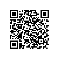 SKF來皖南電機(jī)開展軸承知識(shí)培訓(xùn)