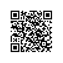 踐行紅船精神 追尋紅色記憶丨欣靈電氣赴嘉興南湖開展黨建活動(dòng)