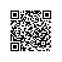 保安公司清理整顿工作方案