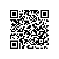 巴基斯坦安全形势恶化 保安公司火得很无奈