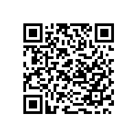 成立保安公司的条件流程