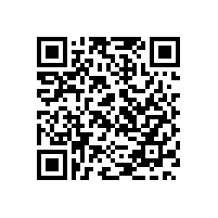 德国保安押运业务概览