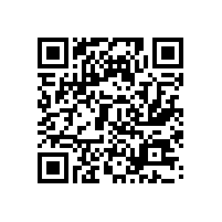 东莞特勤保安公司如何选择