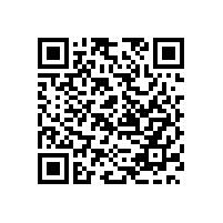 东坑保安公司明星护卫执勤服务