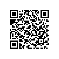 盗窃和破坏事件应急预案