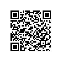 疯狂新春！ 80后广东保安服务总公司保安竟日赚万元