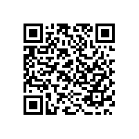 “警察+保安”联控模式保平安