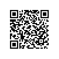 江门开平保安公司工作人员不得有哪些行为