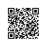 揭秘中国古代保安公司之镖局（四）